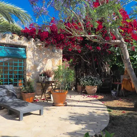 Tinyhouse Im Patio Einer Romantischen