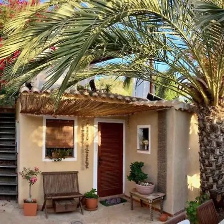 Tinyhouse Im Patio Einer Romantischen