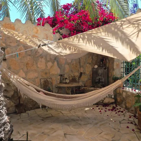 Tinyhouse Im Patio Einer Romantischen