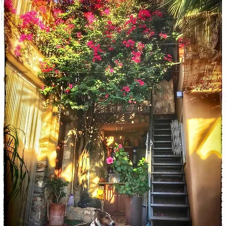 Δωμάτια σε οικογενειακή κατοικία Tinyhouse Im Patio Einer Romantischen El Largo